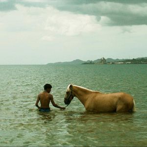 Photo This Island