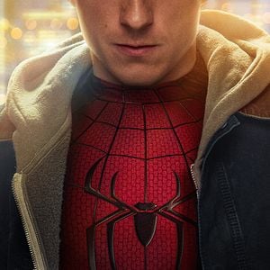 Photo Spider-Man: Brand New Day