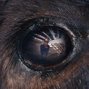 Photo Animale
