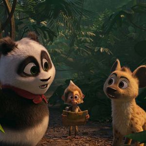 Photo Petit Panda en Afrique