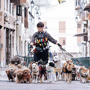 Photo The Shadow’s Edge