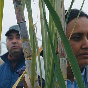 Photo Histoires de la bonne vallée