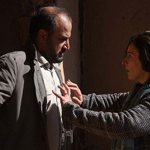 Photo Les Graines du figuier sauvage