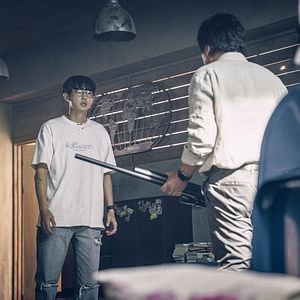 Photo Les Silences de la forêt