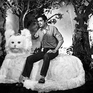 Photo Jacques Demy, le rose et le noir