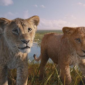 Photo Mufasa : Le Roi Lion