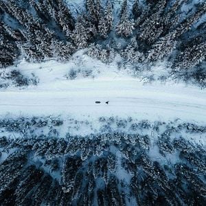 Photo L’Appel du Silence