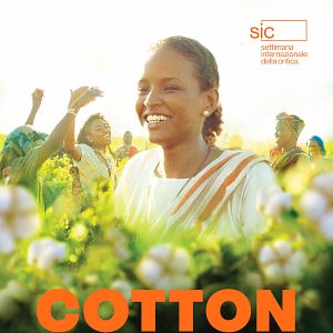 Photo Cotton Queen