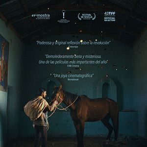 Photo The Anatomy of the Horses