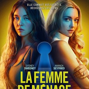 Photo La Femme de ménage