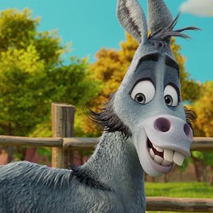 Photo Thelma la licorne