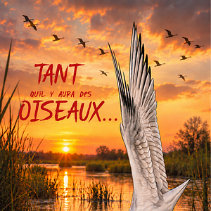 Photo Tant qu’il y aura des oiseaux
