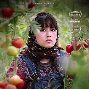 Photo Au pays de nos frères