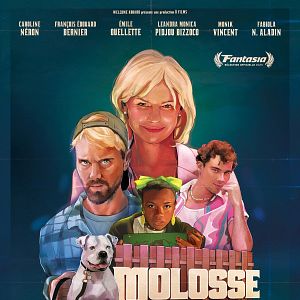 Photo Molosse