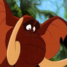 Photo Tarzan