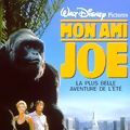 Photo Mon ami Joe