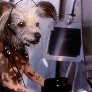 Photo Lawrence Guterman