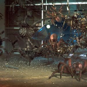 Photo Ellory Elkayem