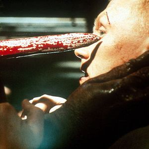 Photo Dog Soldiers