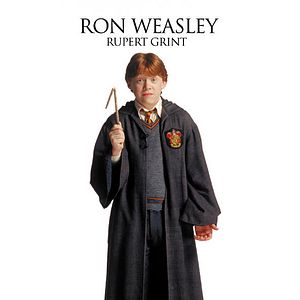 Photo Harry Potter et la chambre des secrets