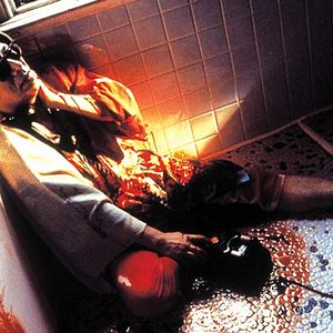 Photo Dead or Alive 2: Birds