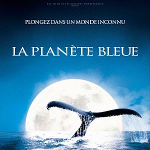 Photo Alastair Fothergill