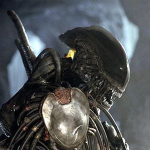 Photo Alien vs. Predator