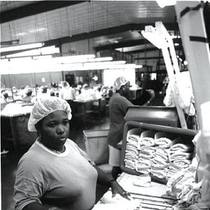 Photo Life and Debt