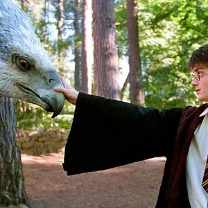 Photo Harry Potter et le Prisonnier d'Azkaban