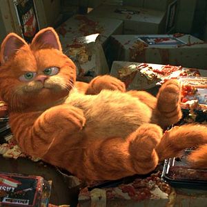 Photo Garfield