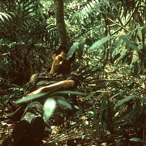 Photo Tropical Malady