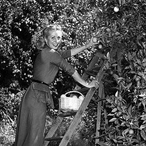 Photo Danielle Darrieux