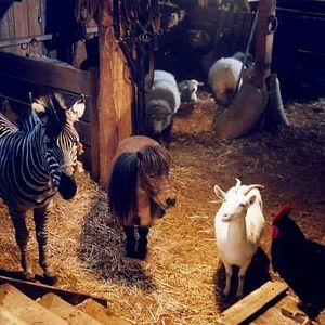 Photo Frederik Du Chau