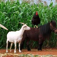 Photo Frederik Du Chau