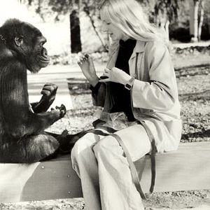 Photo Barbet Schroeder