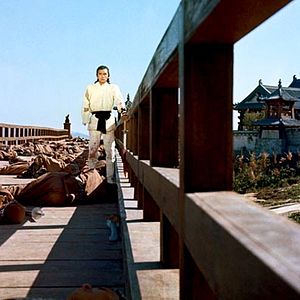 Photo La Rage du tigre