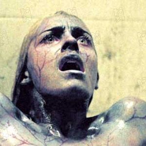 Photo Stephen T. Kay