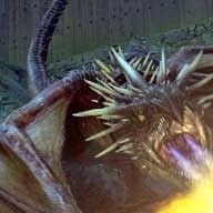 Photo Harry Potter et la Coupe de Feu