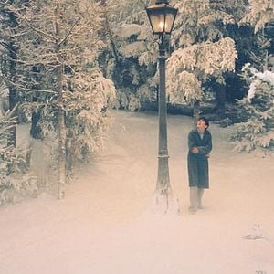 Photo Andrew Adamson