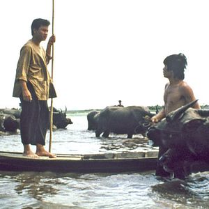 Photo Nghiem-Minh Nguyen-Vo