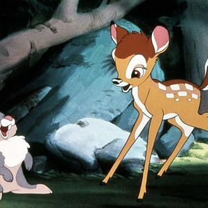 Photo Bambi