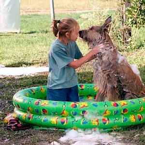 Photo AnnaSophia Robb