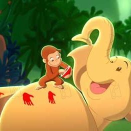 Photo Matthew O'Callaghan