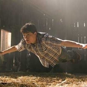 Photo Stephan Bender