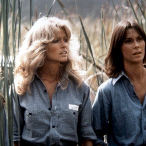 Photo Drôles de dames