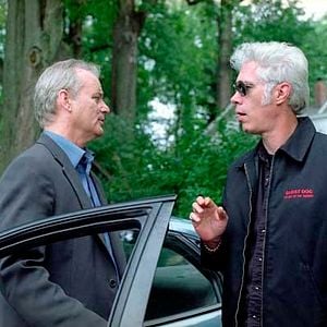 Photo Broken Flowers