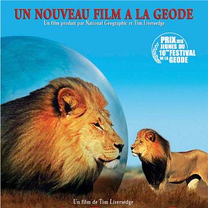 Photo Tim Liversedge