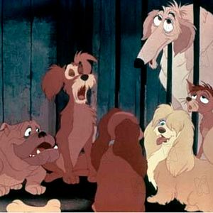 Photo La Belle et le Clochard