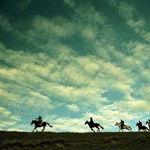 Photo Tsui Hark