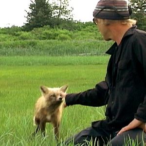 Photo Grizzly Man